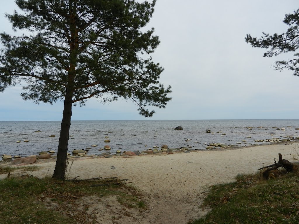 Kaltenes akmeņainā jūrmala by Smartartful