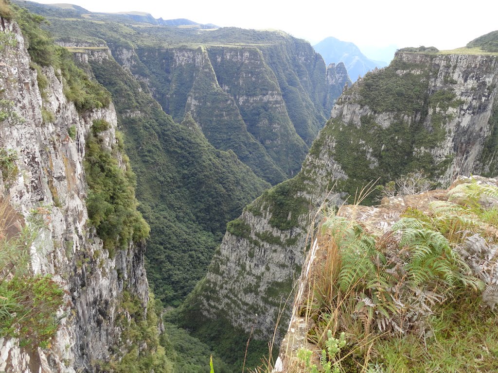 INTERIOR DO CANYON LARANJEIRAS - B. J. DA SERRA SC by Ademir Sgrott