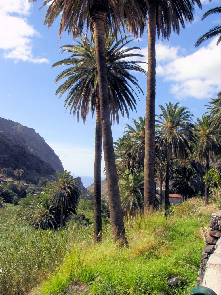 Valle Gran Rey, Santa Cruz de Tenerife, Spain by Erling Als Nielsen