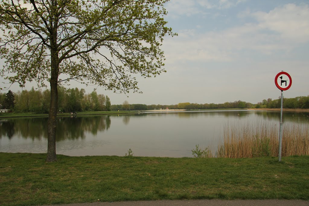 Het Rutbeek der Badesee by Stehrbert