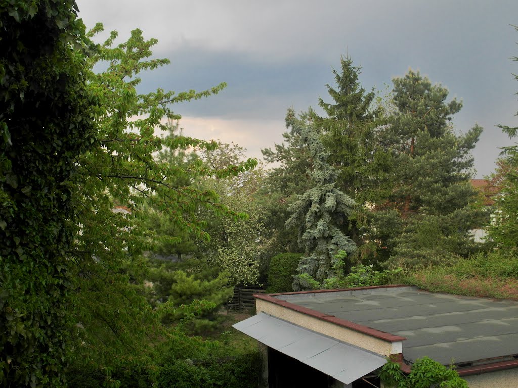 Zahrada během bouře (garden during storm) by Hana Koudelková