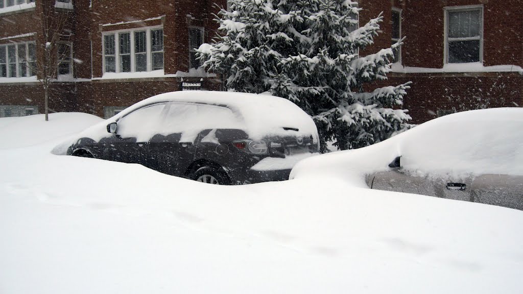 Chicago Blizzard 2011 and cars by Mateusz Fula