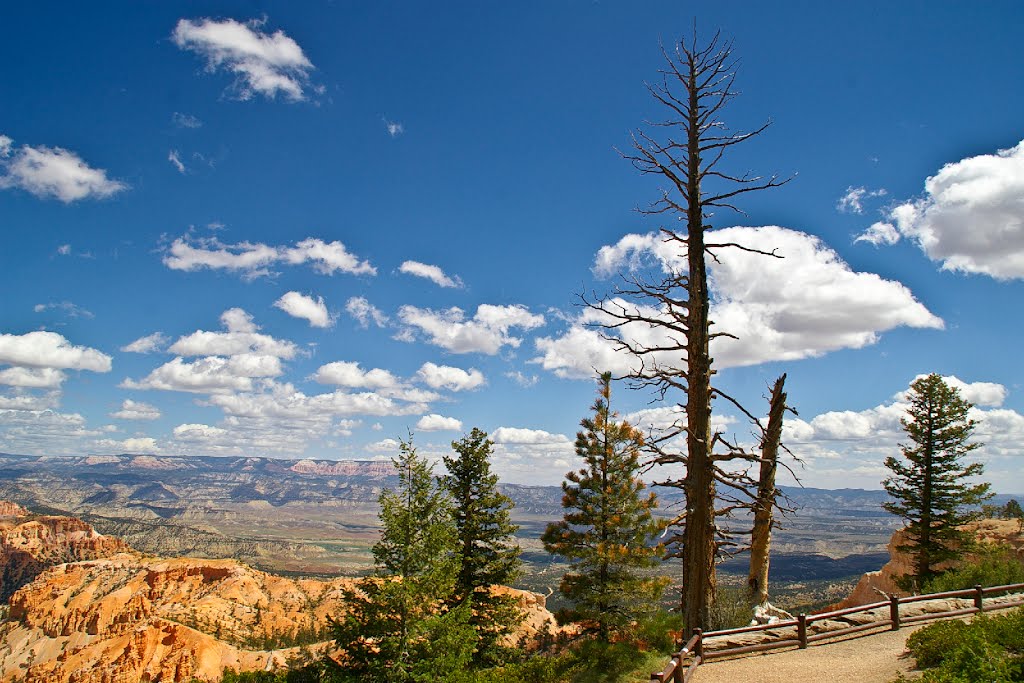 Bryce Canyon by Rumiana Koynova-Tenc…