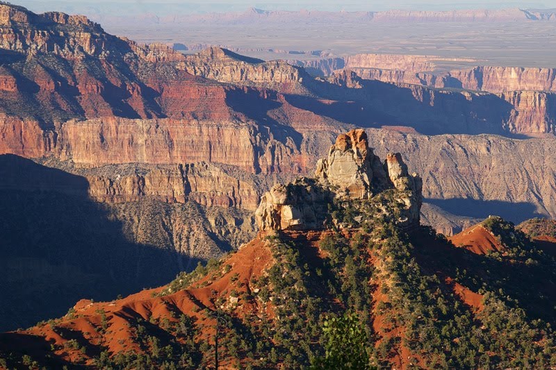 Grand Canyon, north rim by Rumiana Koynova-Tenc…