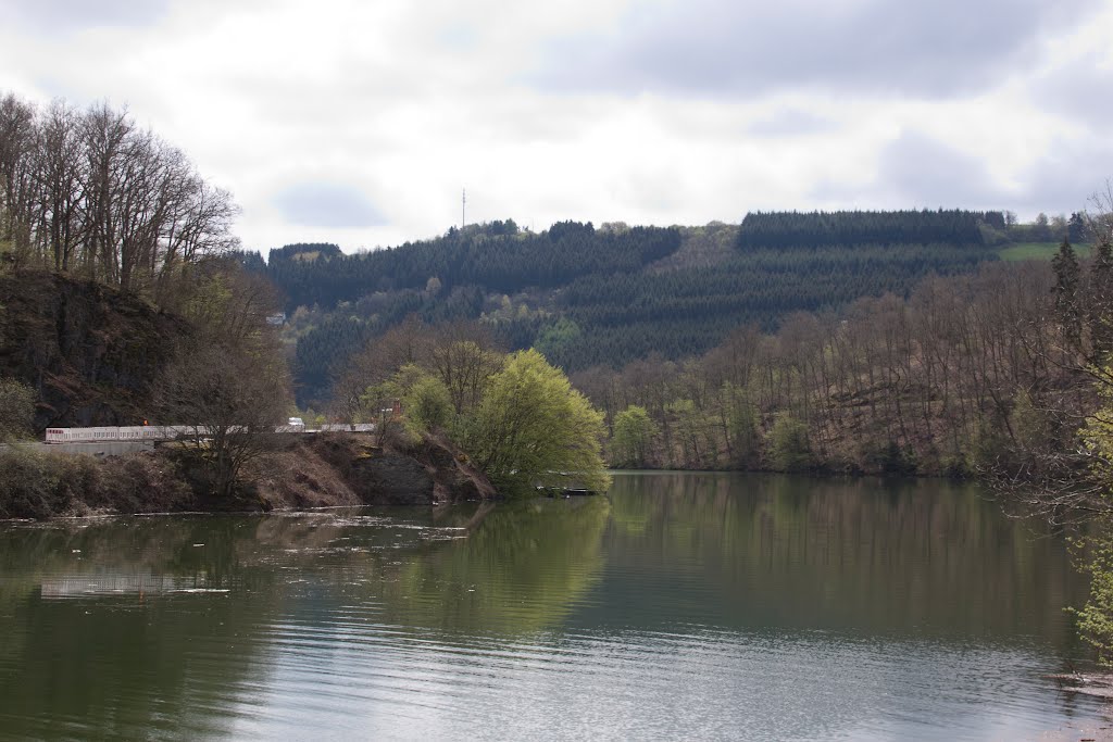 Lac de la Haute-Sûre, Liefrange, Insenborn by Roger Geijsels