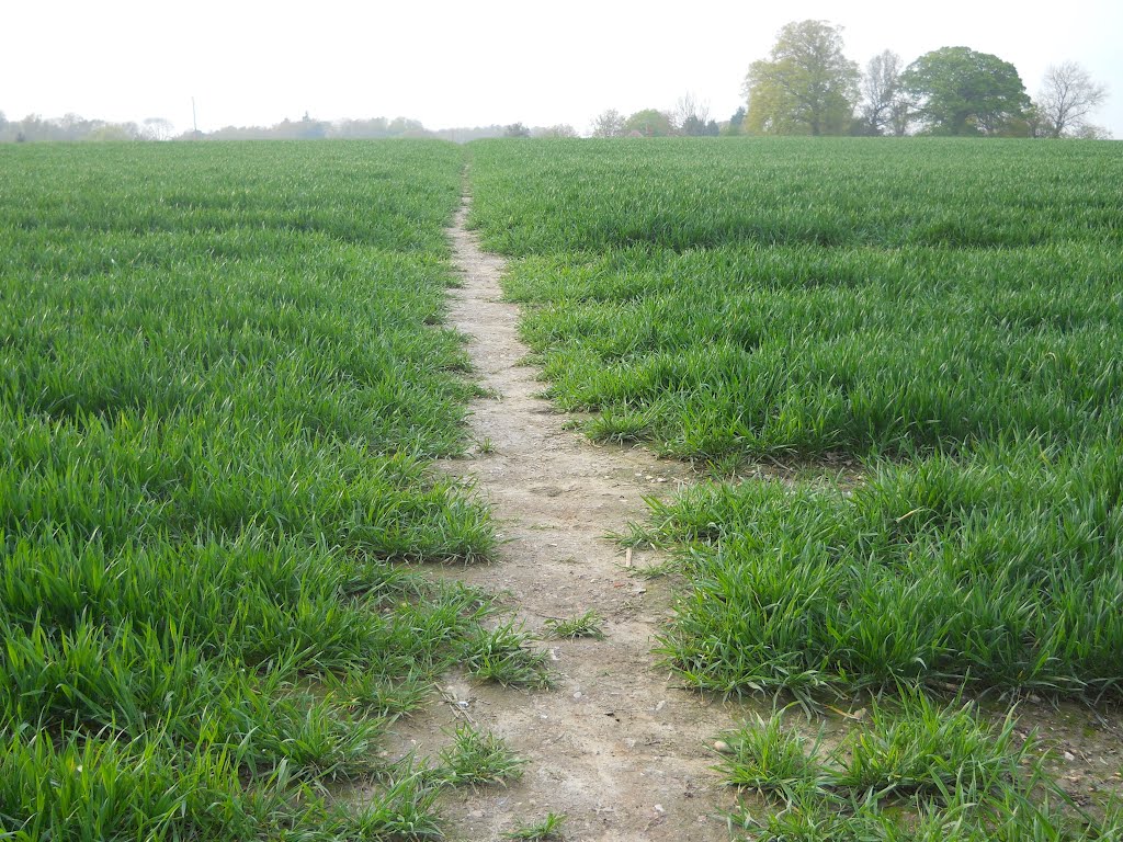 The Rotherwick Open Field by RobertsGoogleEarthP…