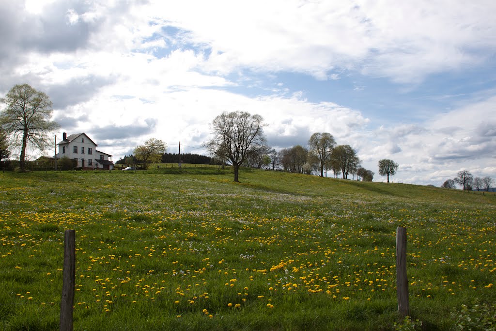 Panoramazicht, Wanne by Roger Geijsels