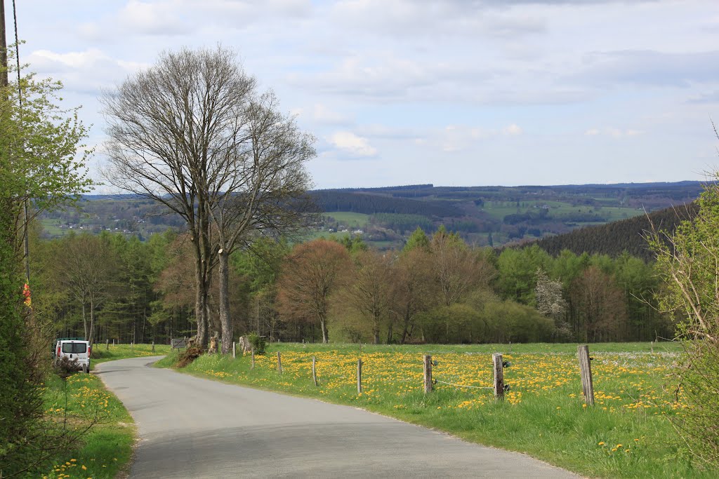 Panoramazicht, Wanne by Roger Geijsels