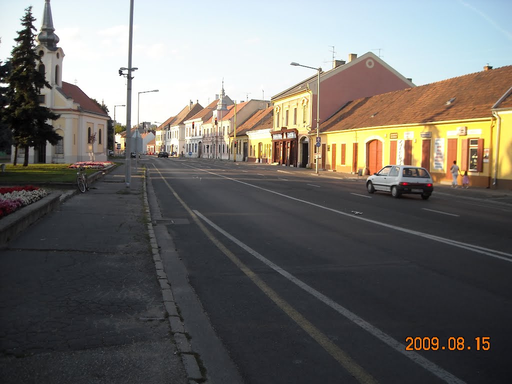 Mosonmagyaróvár, Hungary by gilera dna