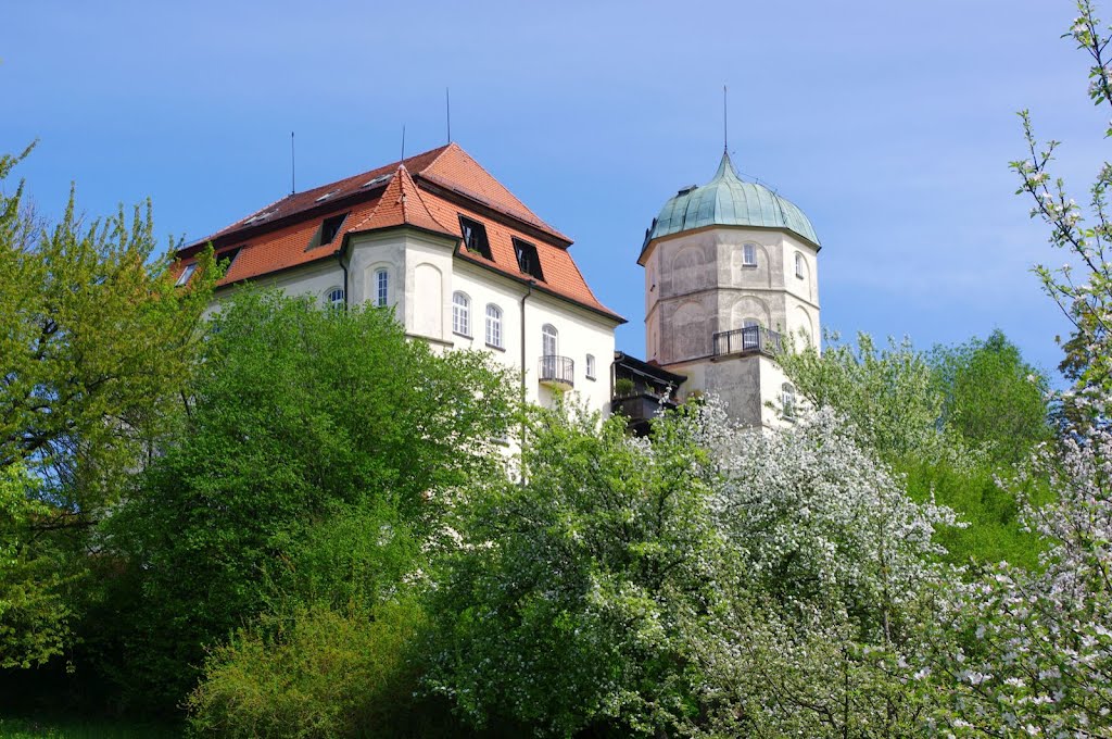 Schloss Reutti by Michael Vogt