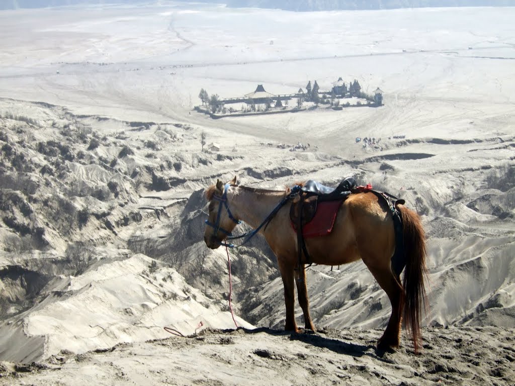 Mont Bromo by Corine  Michel Giron