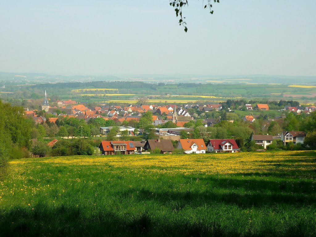 Blick über Nieheim by anheitho