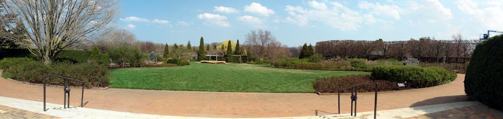 Rose garden -Panorama by Mateusz Fula