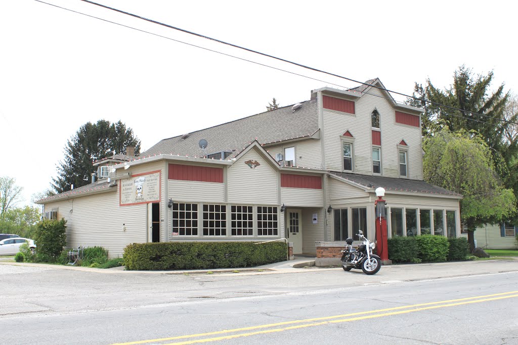 Bone Heads Restaurant & Tavern, 10256 Willis Road, Willis, Michigan by Dwight Burdette