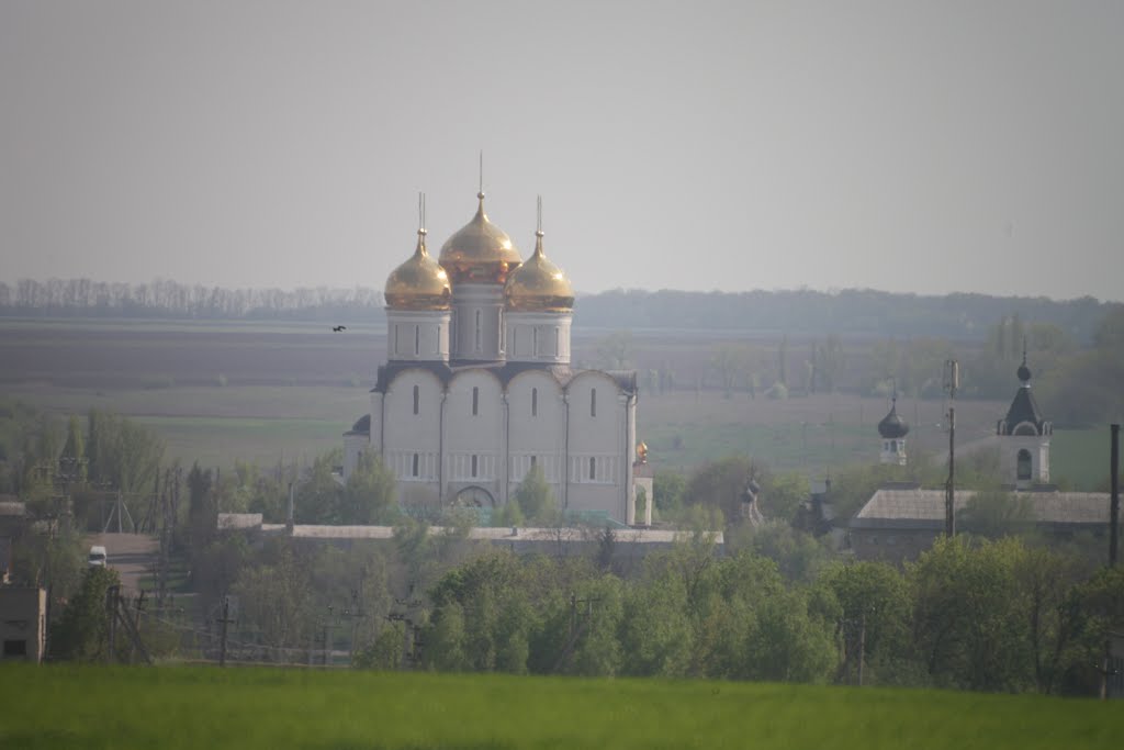 Volnovas'kyi district, Donetsk Oblast, Ukraine by Arfaxadus