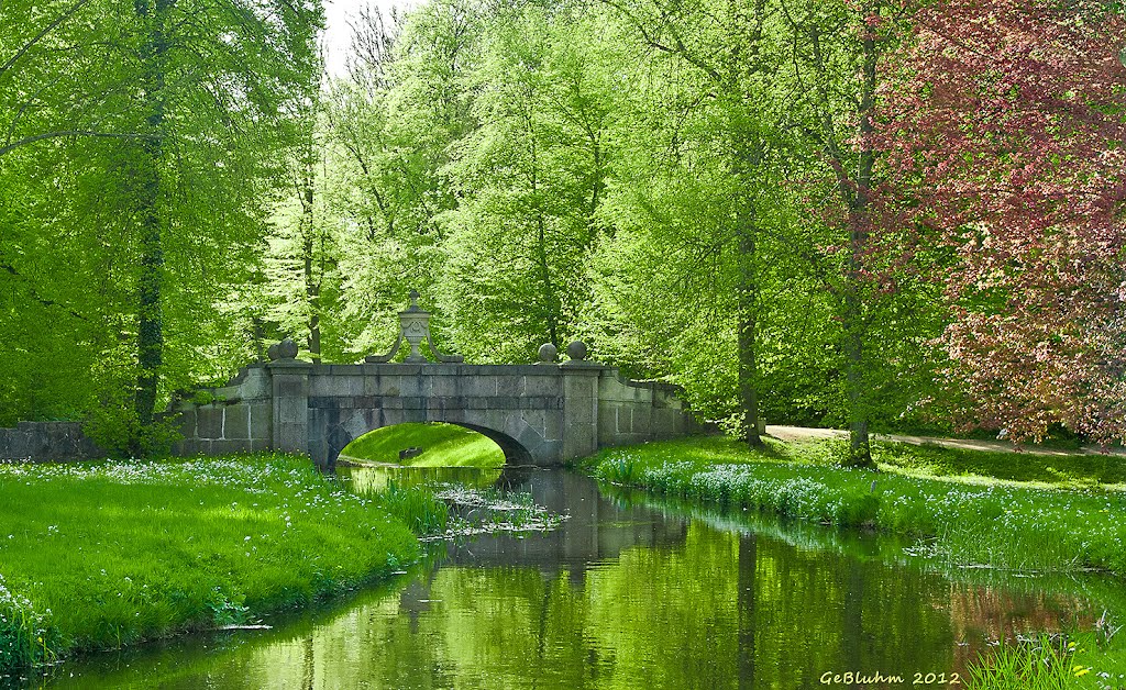 Frühling im Park by gebluhm