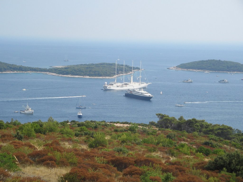 Hvar's harbour by ciekawski2002