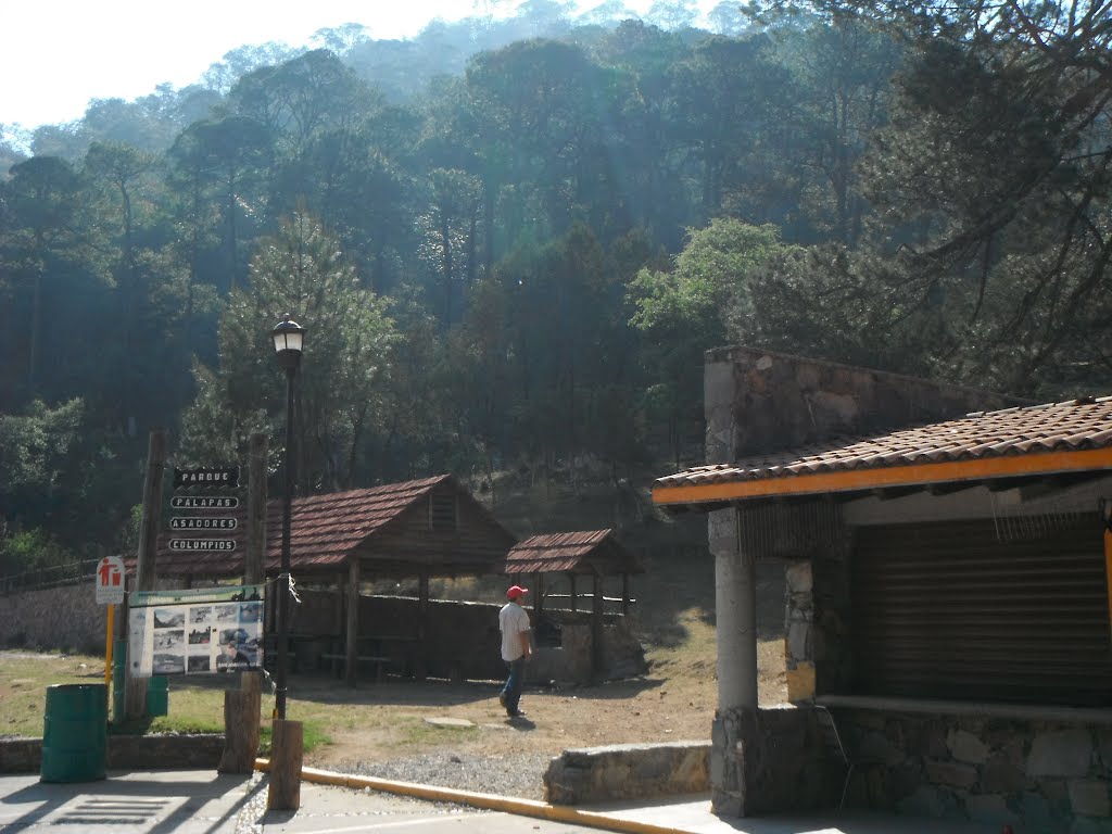 Palapa y asadero para el picnic by Ricardo Erreguín