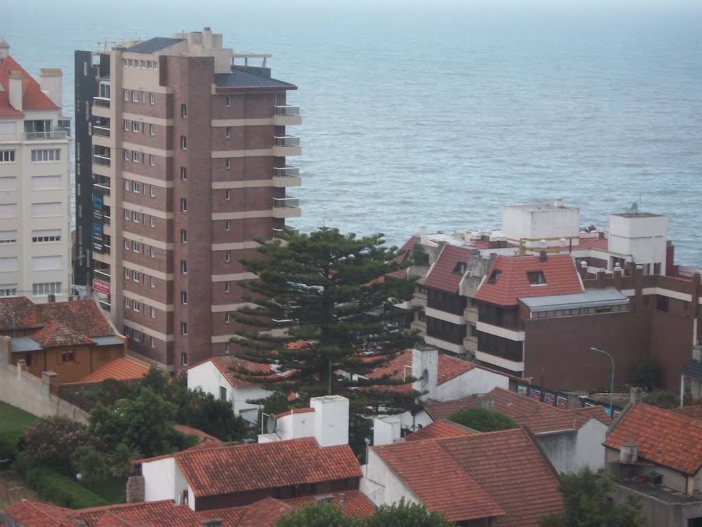 "Pino que se asoma para ver el mar" Diferentes vistas desde la Torre Tanque de Agua en el barrio Stella Maris en Mar del Plata, Argentina by Daniel Illuminati