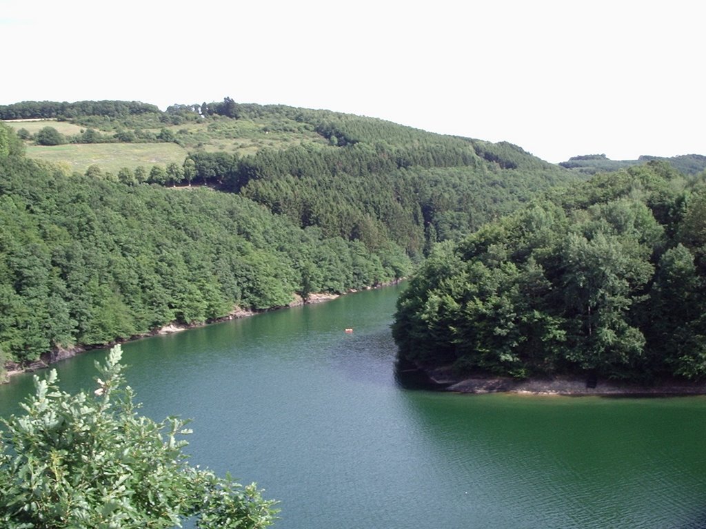 Lac de la Haute Sûre by Wim Constant