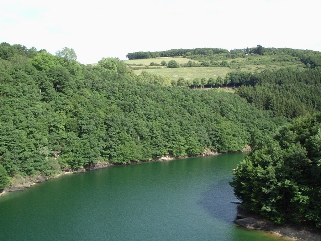 Lac de la Haute Sûre by Wim Constant