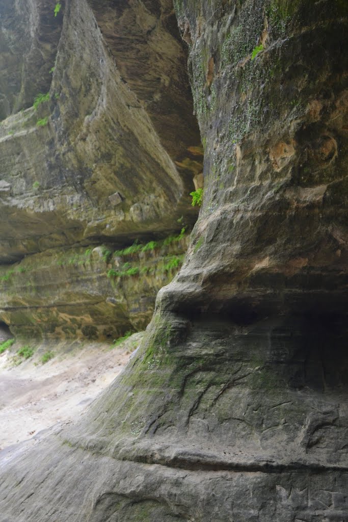 View in a Canyon by conradthedog