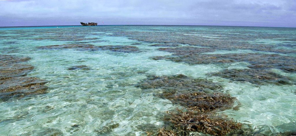 Coral and Wreck by Daniel Hutchings