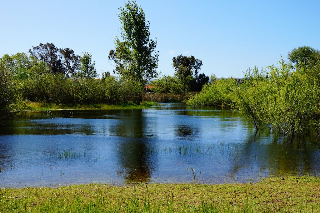 High waters at the marsh by Lance0420