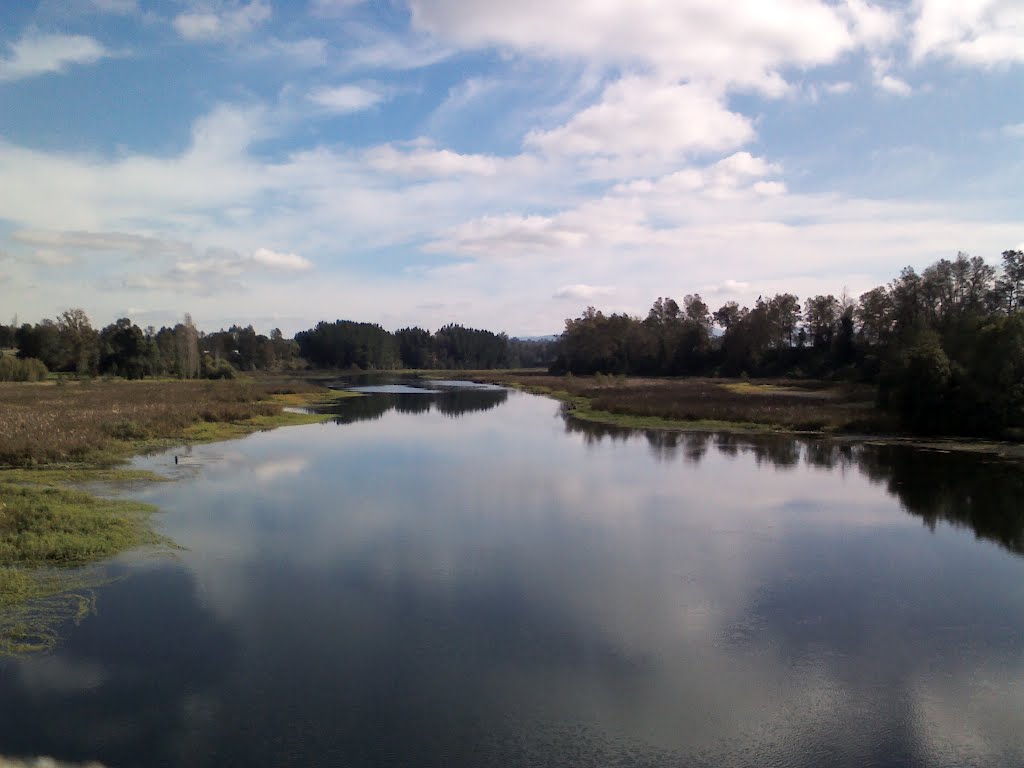 Valdivia, Los Ríos Region, Chile by Juan Pablo Tolosa