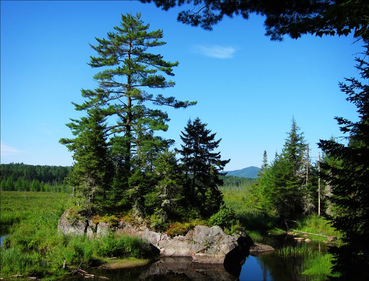 St. Regis Mountain from the Barnum Brook Trail by ellenjones6