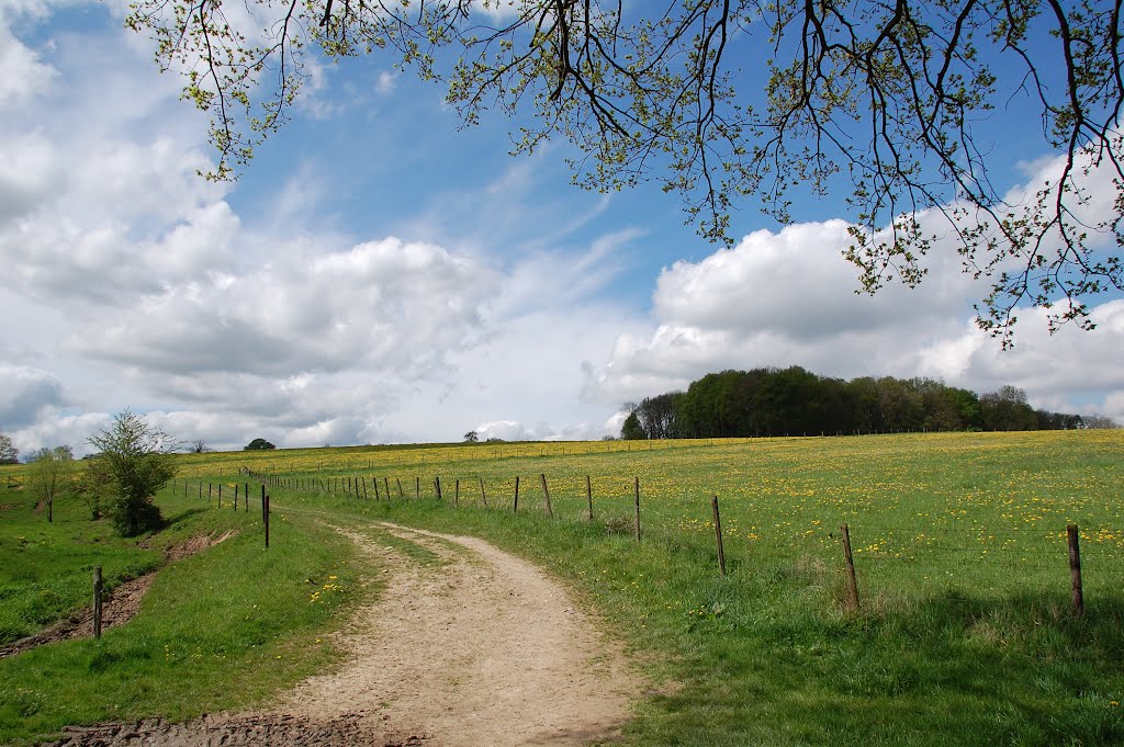 Geuldal, Epen, Zuid-Limburg by WilliamR