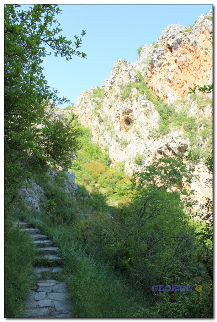 Exaplatanos, Greece by George R