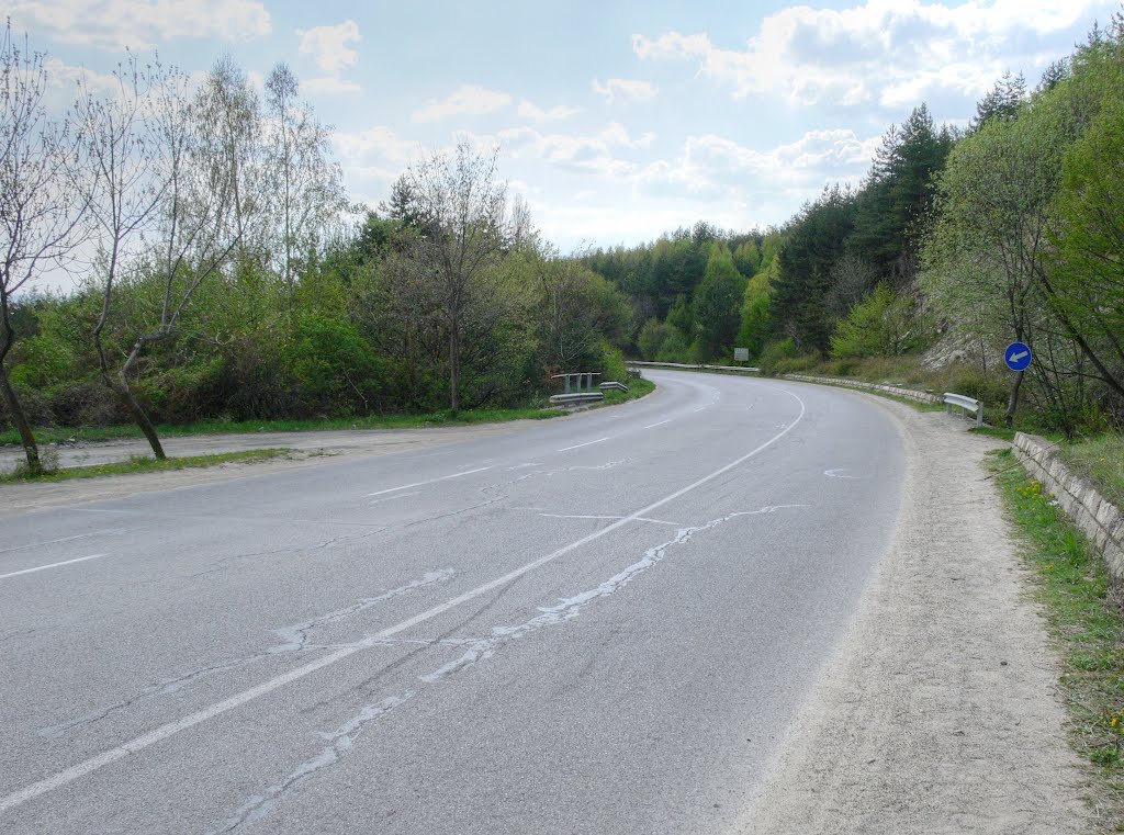 Road E-871, Bulgaria by Nenko Lazarov