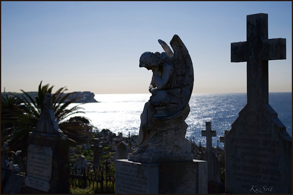 The tranquil early settlers cemetery, Sydney by Lana Kuznetsova