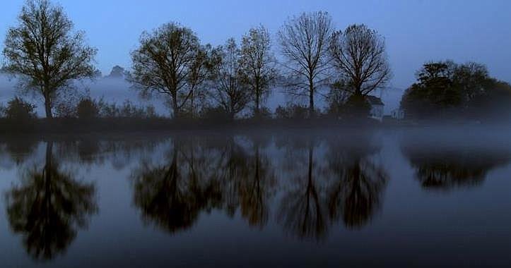 Spade Oak in the morning by Losi1976