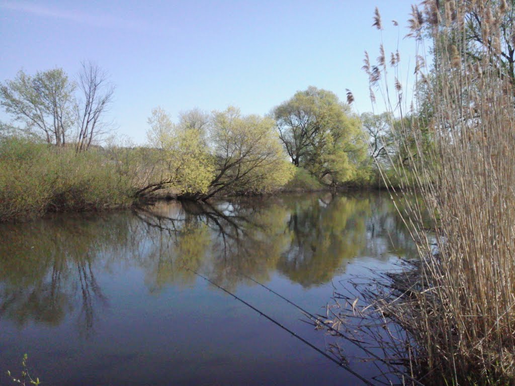 Gmina Zalesie, Poland by Wojciech J.