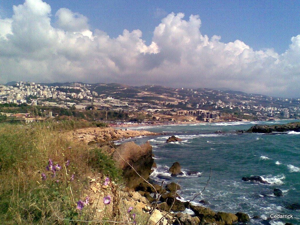 Beachscape at Byblos by cedarrick