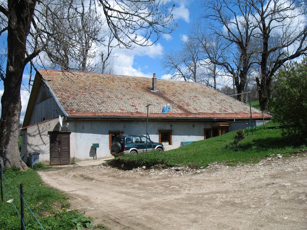 Rondey by Michel BLONDEAU- TOINY