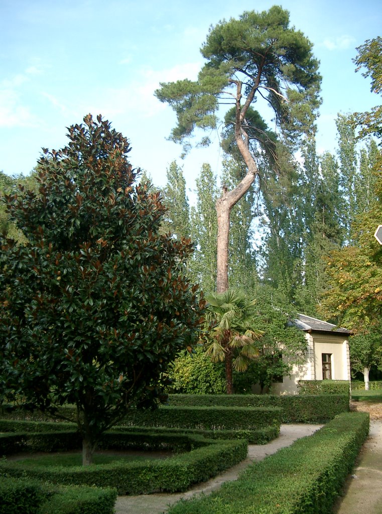 Aranjuez by apepooh