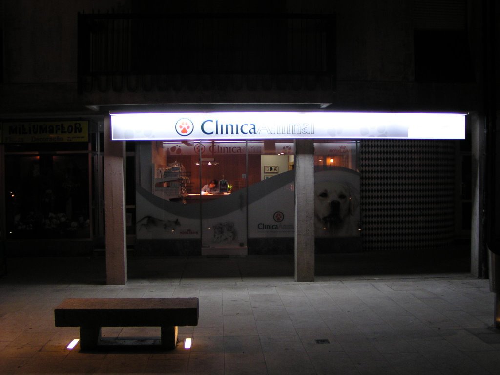 Clinicaanimal.com by night by vetmatos