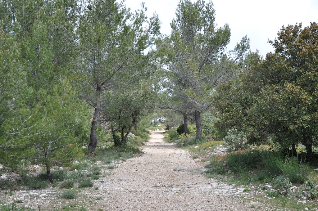 Mont - Faron, Toulon, Provence-Alpes-Côte d'Azur, France by M.Strīķis