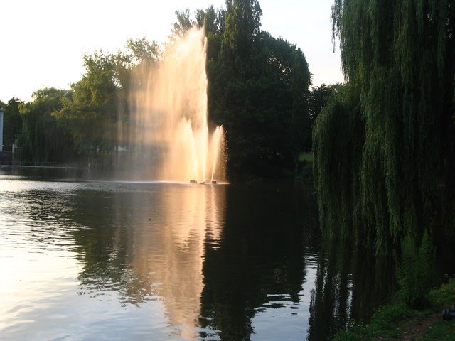 Heilbronn, Wasserspiel am Unteren Neckar by SilvaMCV