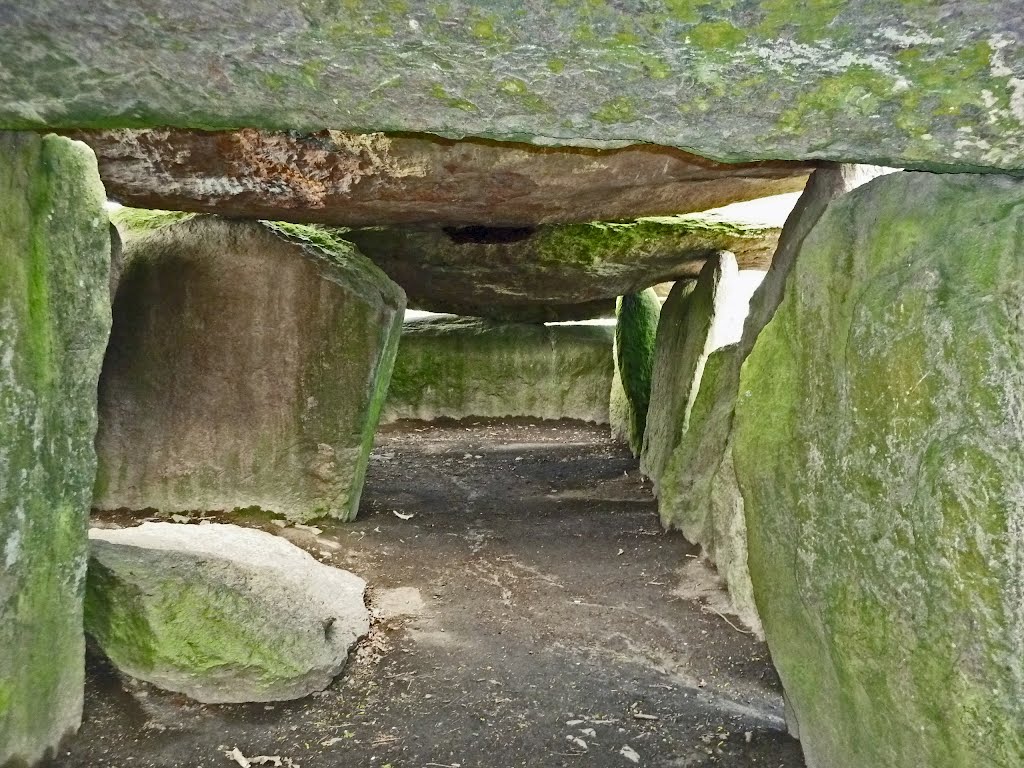 La Roche aux Fées (IIIe millénaire av. J.-C.) by FGuertin