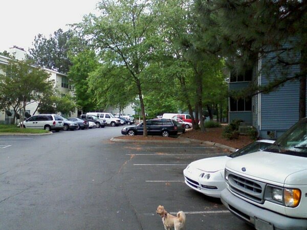 The Columns at Bentley Manor, Marietta. GA. USA. by BZT-0333