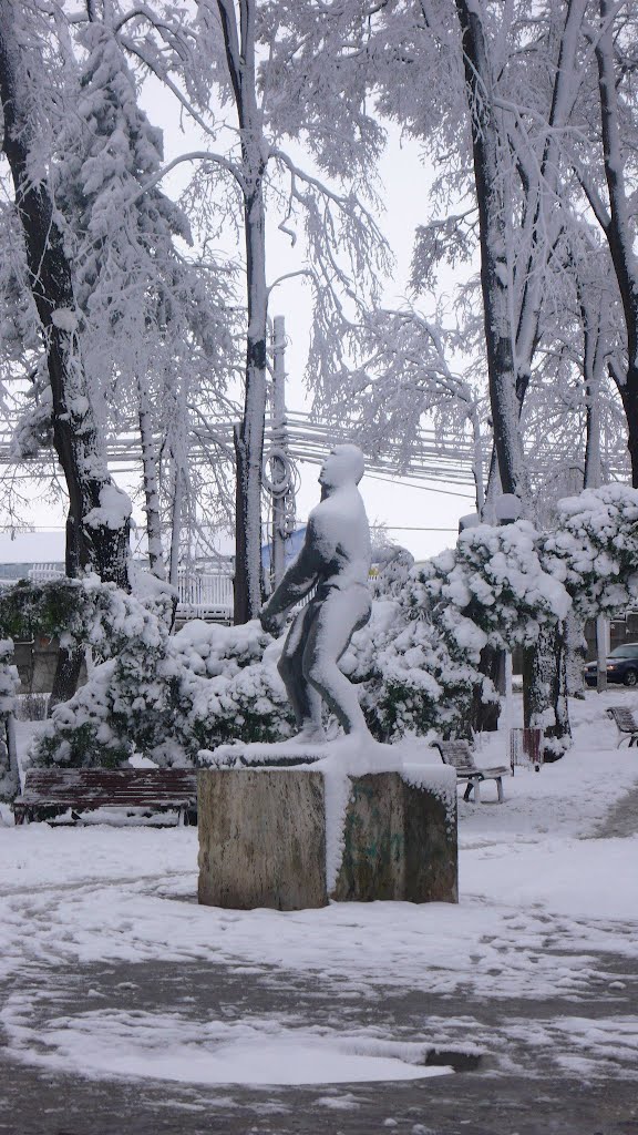 Statuia "Aruncatorul de ciocan", Suceava by Adrian Dabîca