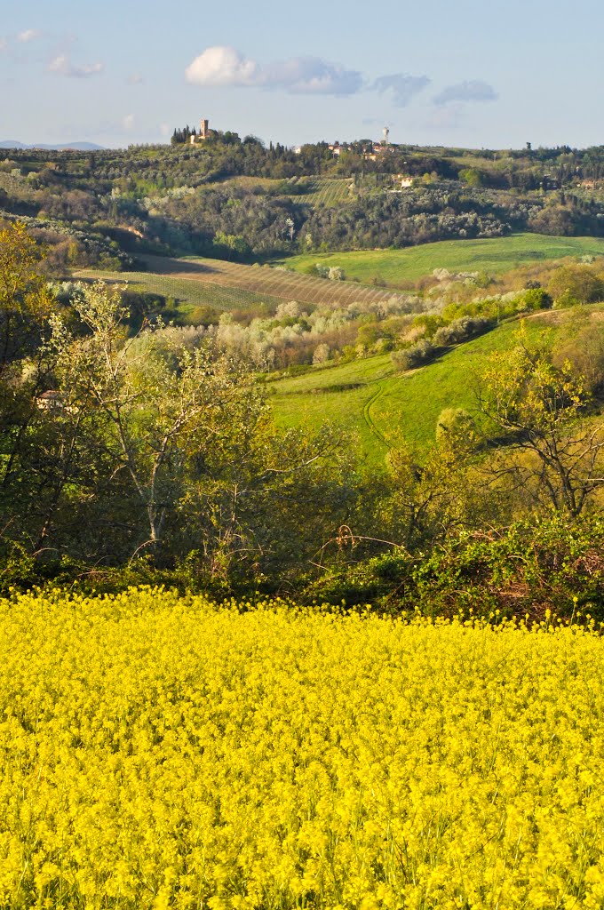 Montespertoli: panorama verso San Pietro in Mercato by Gianfranco Breschi