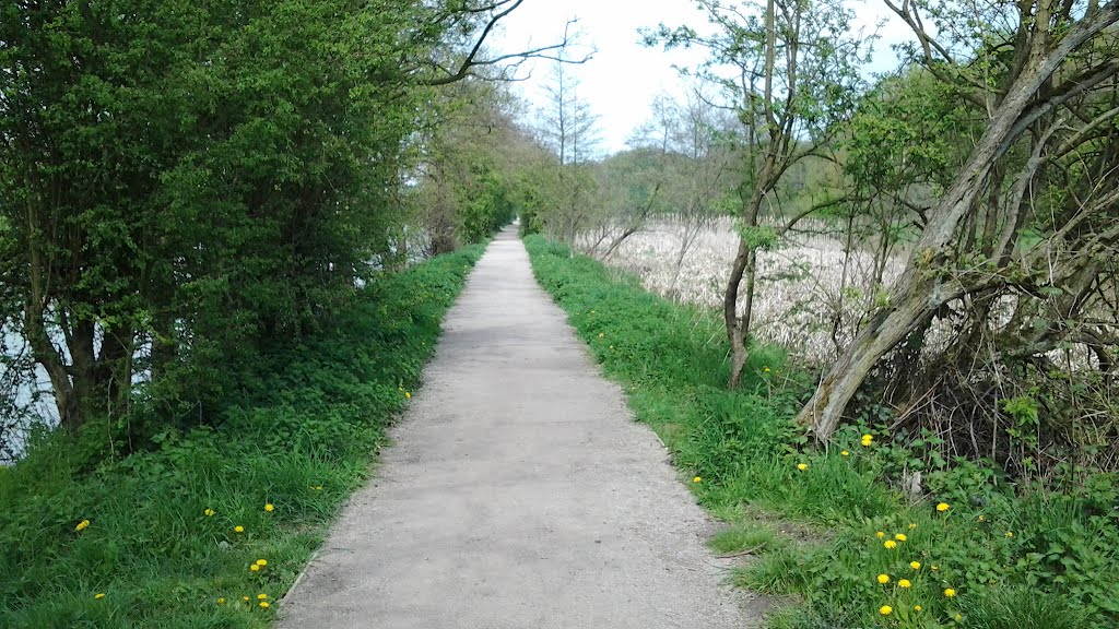 River Weaver Footpath by Dennis N