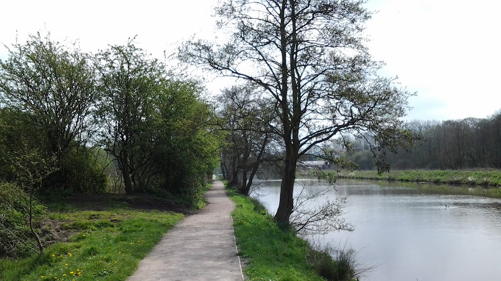 River Weaver Footpath by Dennis N