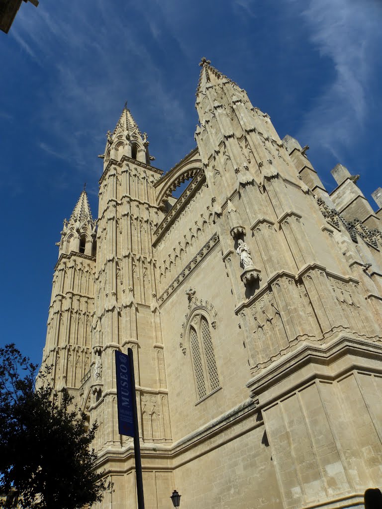 Palma Cathedral by Neactom