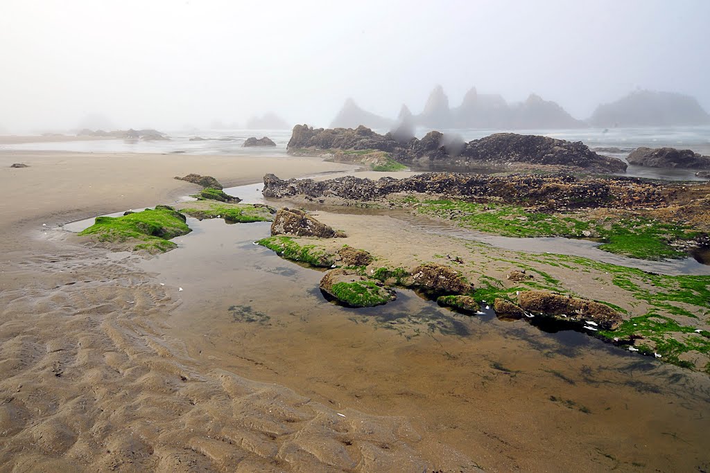 Seal Rock, OR 97376, USA by Jx7jjh